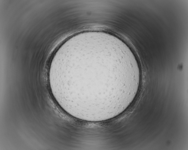 X0000114690835200912021043