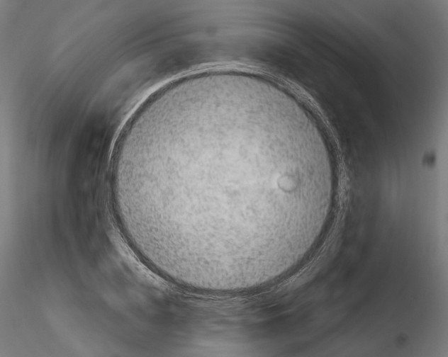 X0000114690836200912021043