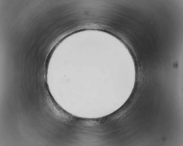 X0000114690837200912021043