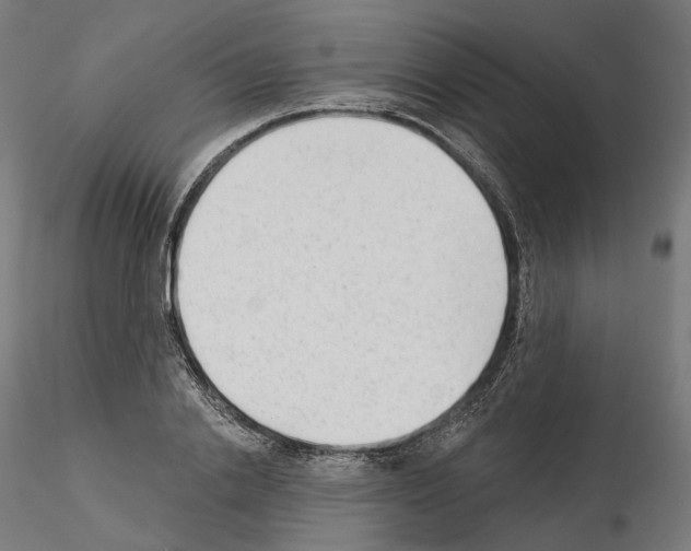 X0000114690838200912021043