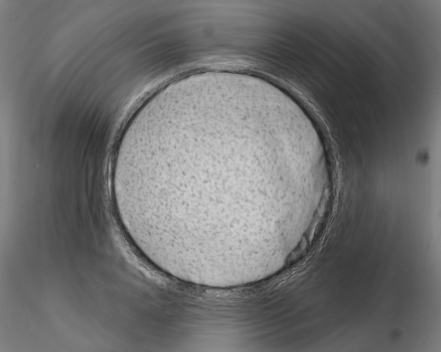 X0000114690840200912021043