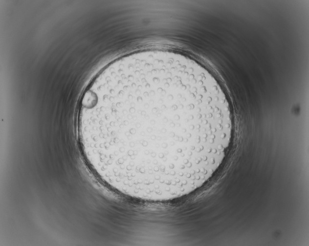 X0000114690843200912021043