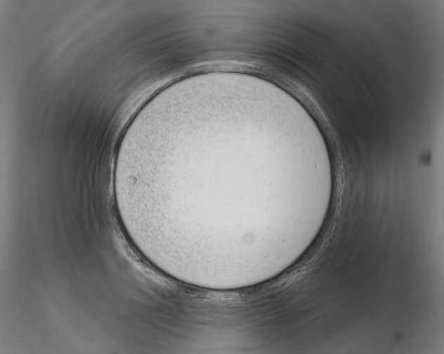 X0000114690844200912021043