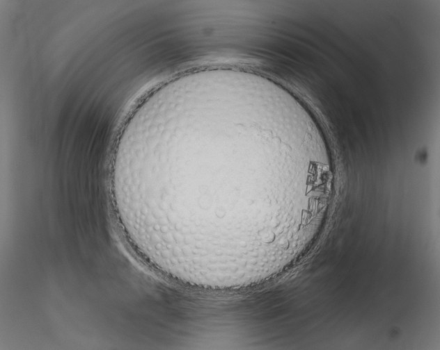 X0000114690848200912021043