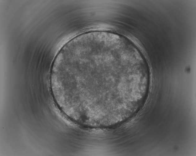X0000114690850200912021043