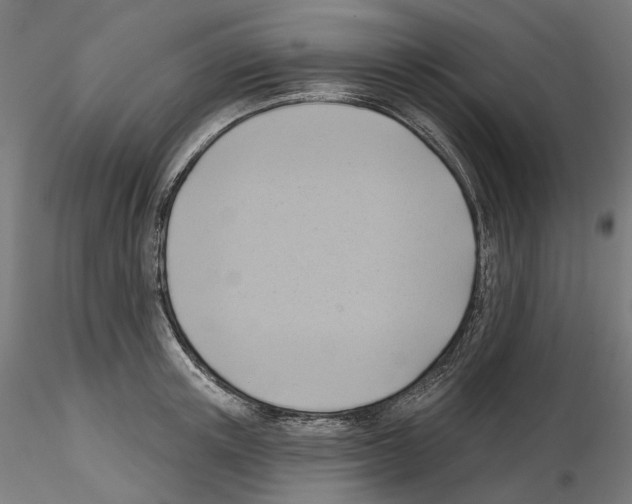 X0000114690851200912021043