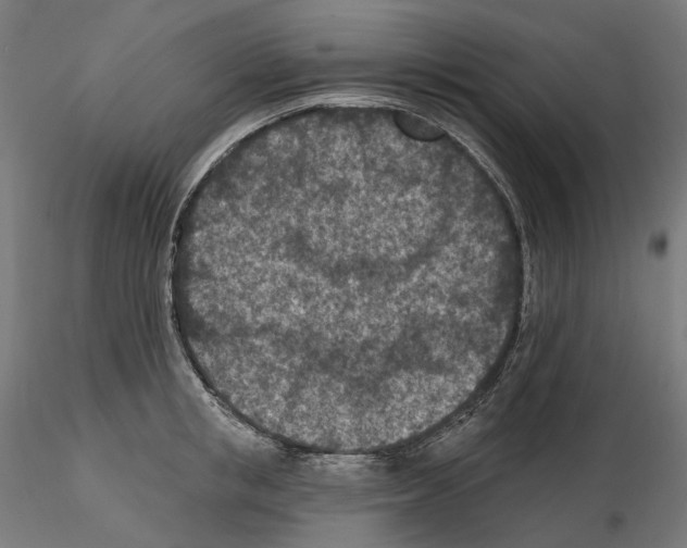 X0000114690853200912021043