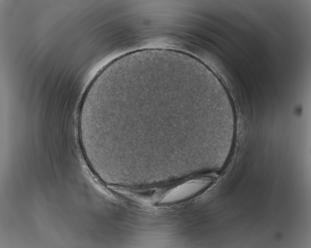 X0000114690854200912021043