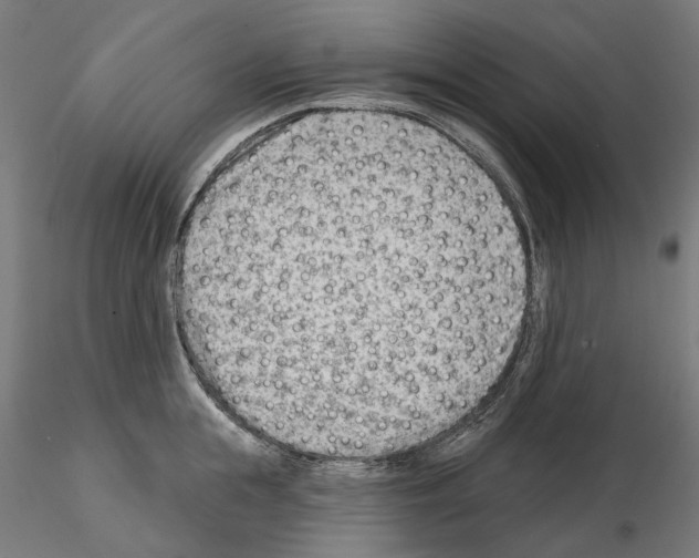 X0000114690855200912021043