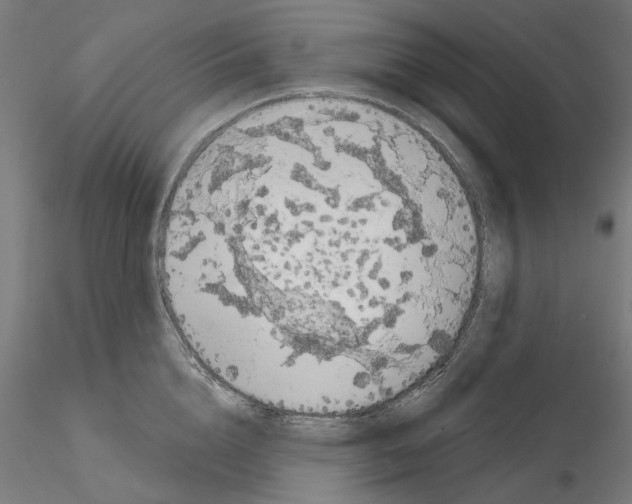 X0000114690856200912021043