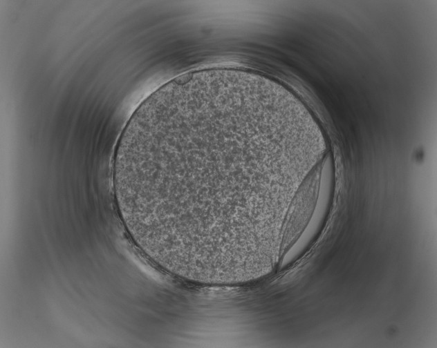 X0000114690858200912021043