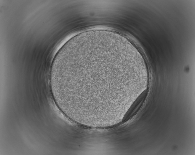X0000114690860200912021043