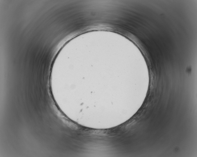 X0000114690861200912021043