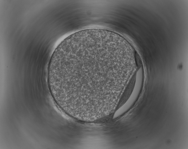 X0000114690862200912021043