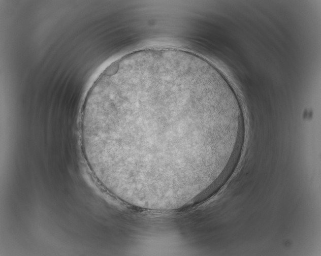 X0000114690864200912021043