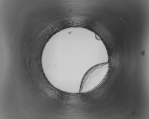 X0000114690865200912021043