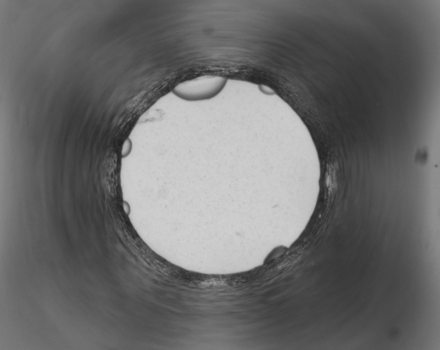 X0000114690867200912021043