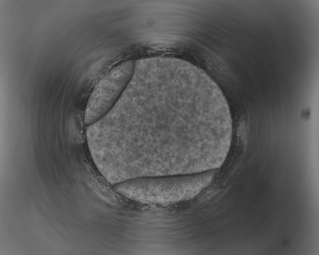 X0000114690868200912021043