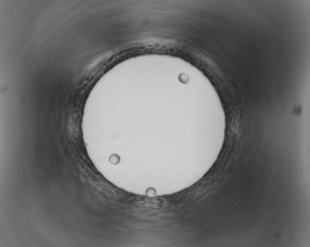 X0000114690869200912021043