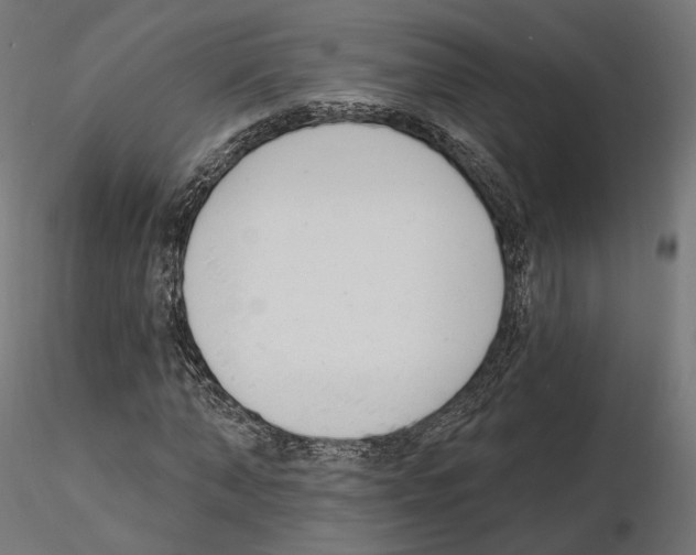 X0000114690870200912021042