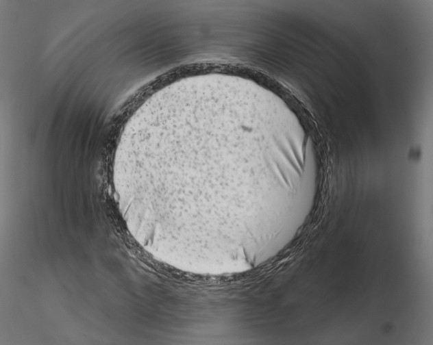 X0000114690872200912021042