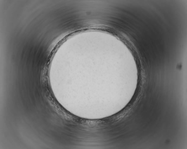 X0000114690875200912021042
