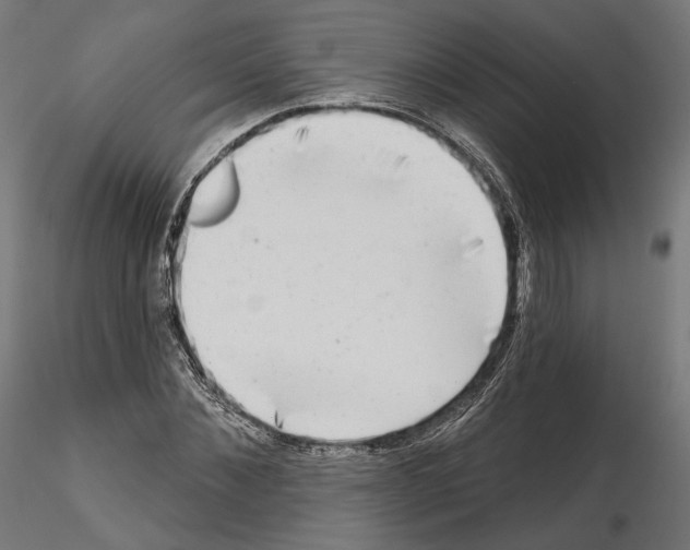X0000114690876200912021042