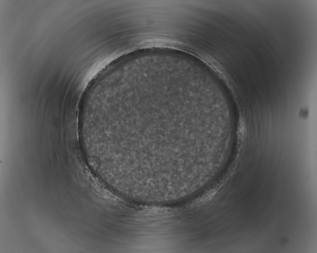 X0000114690877200912021042