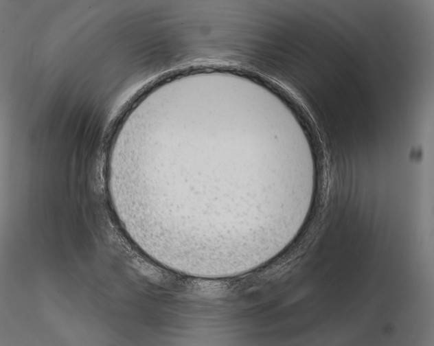 X0000114690878200912021042