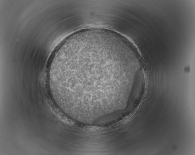 X0000114690879200912021042