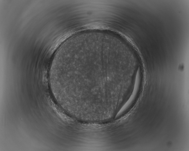X0000114690881200912021042