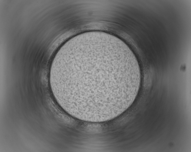X0000114690882200912021042