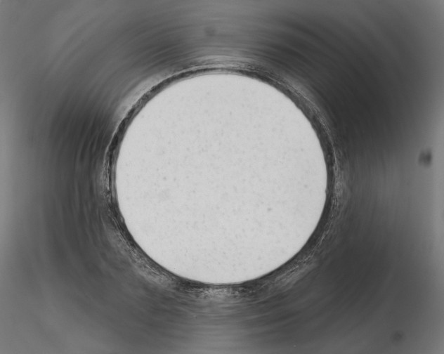 X0000114690883200912021042
