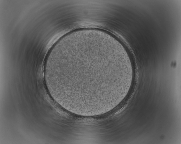 X0000114690885200912021042