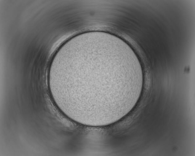 X0000114690886200912021042