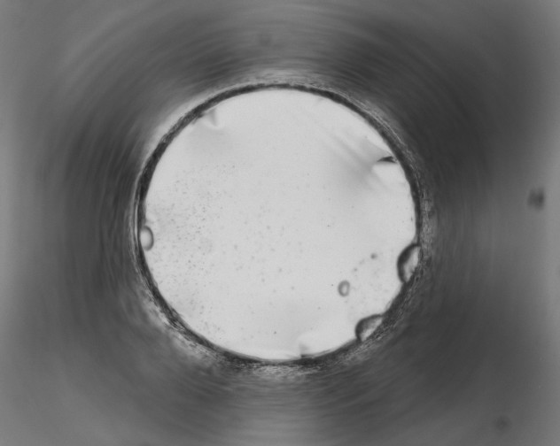 X0000114690888200912021042