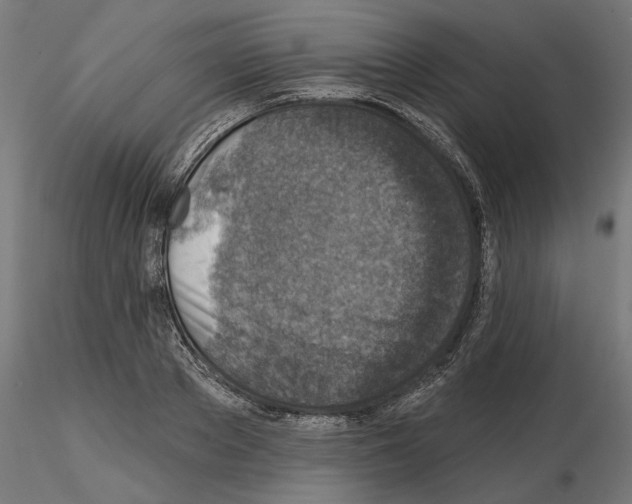 X0000114690889200912021042