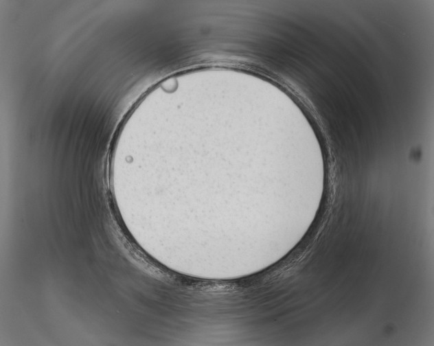 X0000114690891200912021042