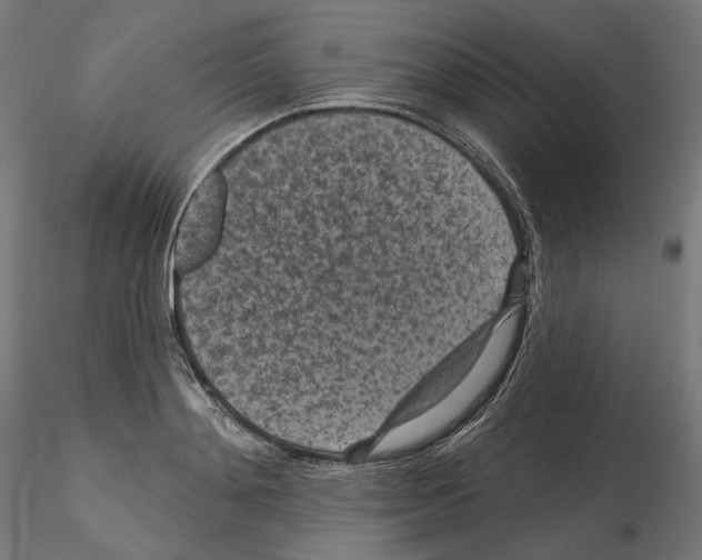 X0000114690892200912021042