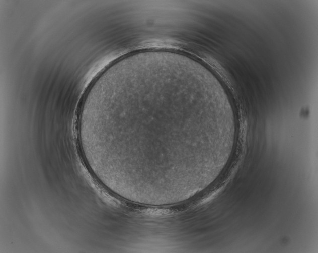 X0000114690893200912021042
