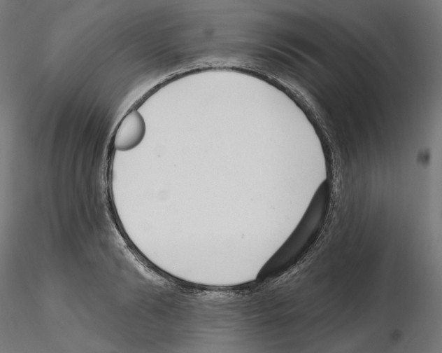 X0000114690894200912021042