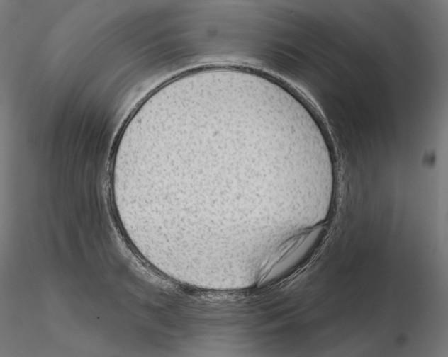 X0000114690895200912021042
