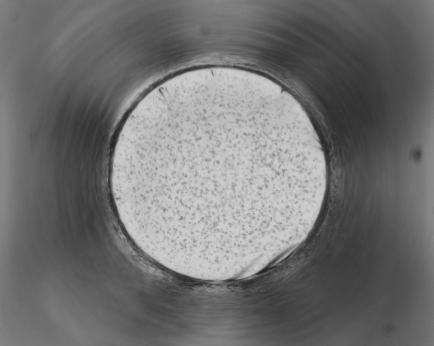 X0000114690896200912021042