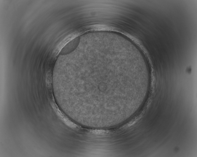 X0000114690897200912021042