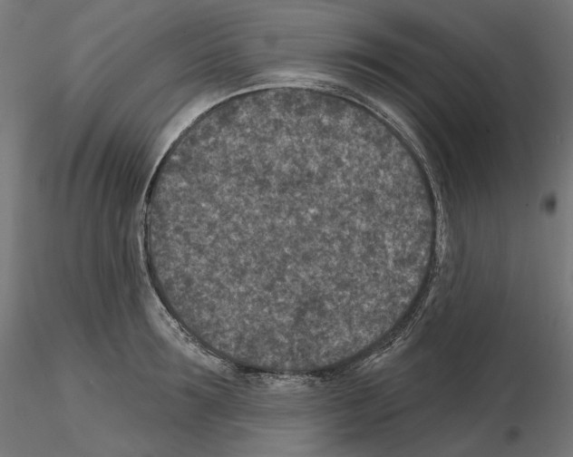 X0000114690899200912021042