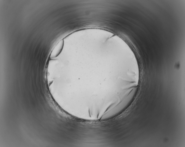 X0000114690900200912021042