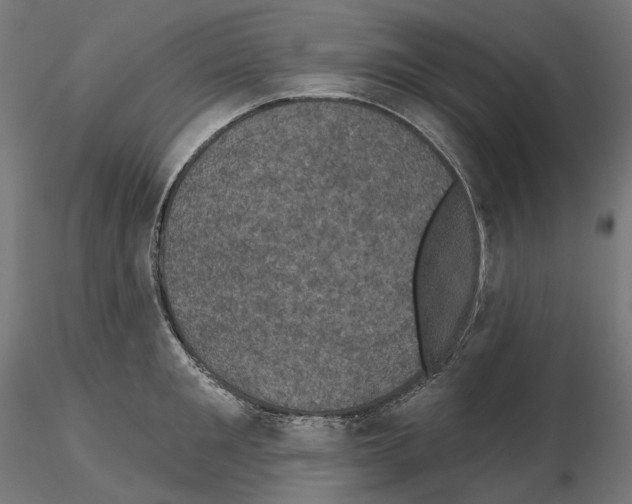 X0000114690901200912021042