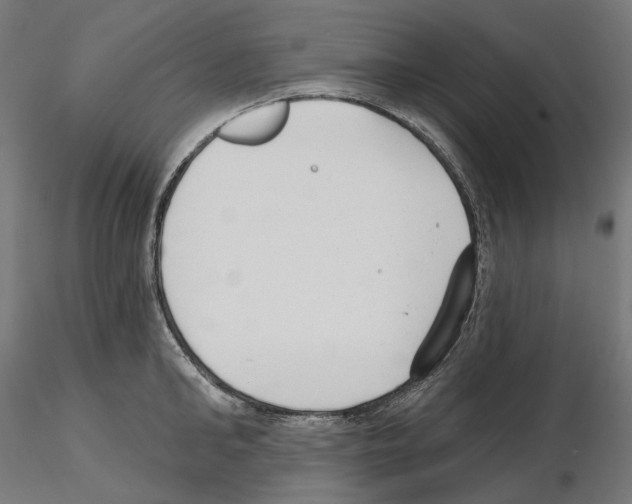 X0000114690902200912021042