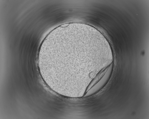 X0000114690904200912021042