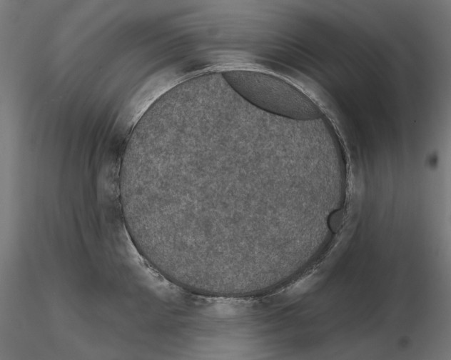 X0000114690905200912021042
